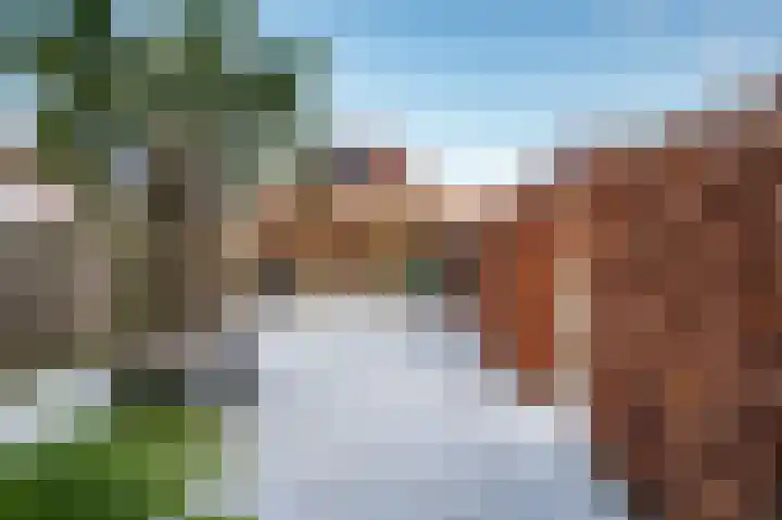 Aronskelk 6 Luttelgeest thumbnail 38