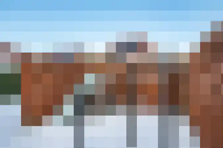 Aronskelk 6 Luttelgeest thumbnail 40