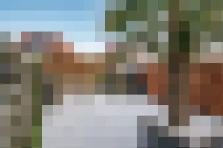 Aronskelk 6 Luttelgeest thumbnail 41