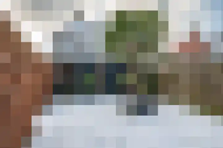Aronskelk 6 Luttelgeest thumbnail 44