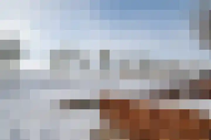 Aronskelk 6 Luttelgeest thumbnail 46