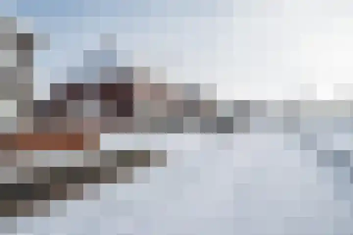 Aronskelk 6 Luttelgeest thumbnail 47