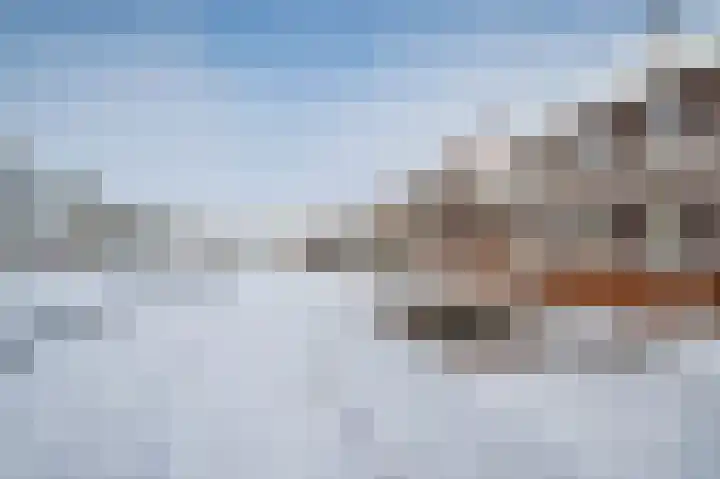 Aronskelk 6 Luttelgeest thumbnail 48