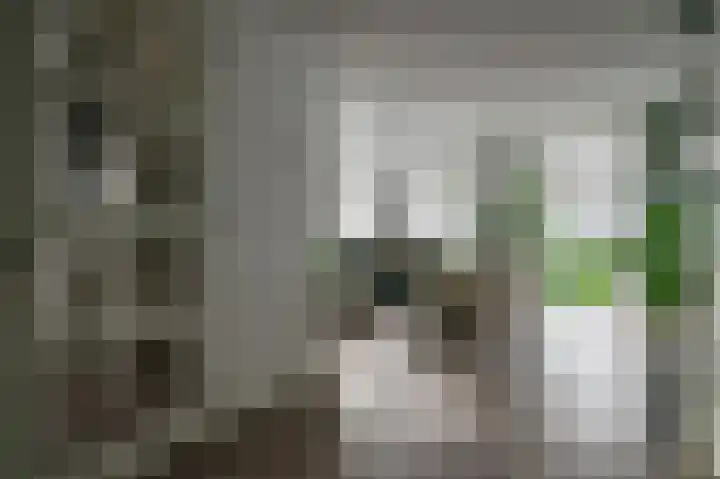 Aronskelk 6 Luttelgeest thumbnail 5