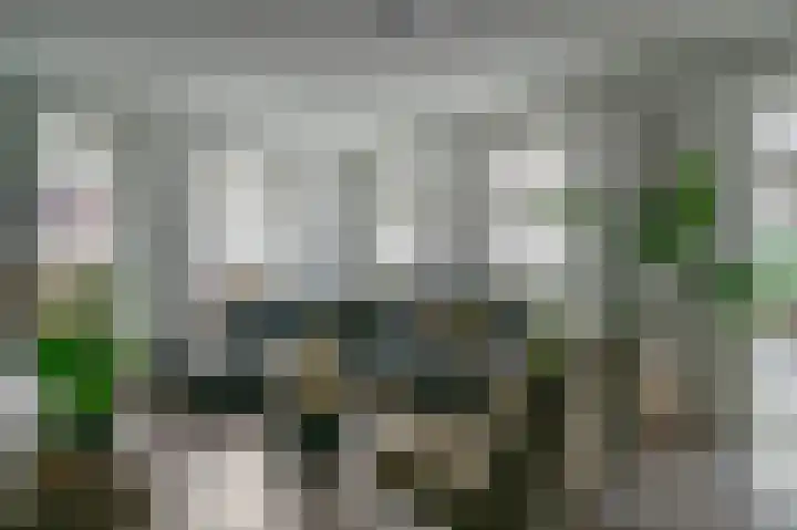 Aronskelk 6 Luttelgeest thumbnail 6