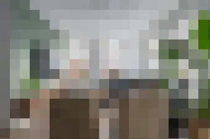 Aronskelk 6 Luttelgeest thumbnail 7