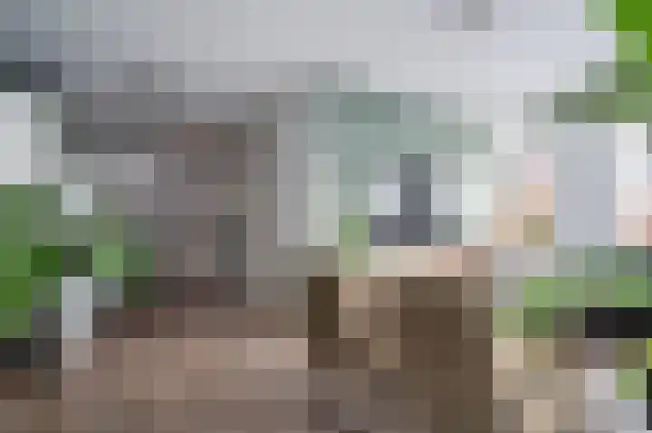 Aronskelk 6 Luttelgeest thumbnail 8