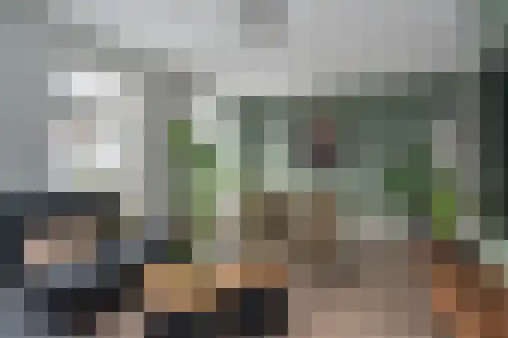 Aronskelk 6 Luttelgeest thumbnail 9