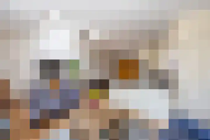 Aronskelk 72 Venray thumbnail 13
