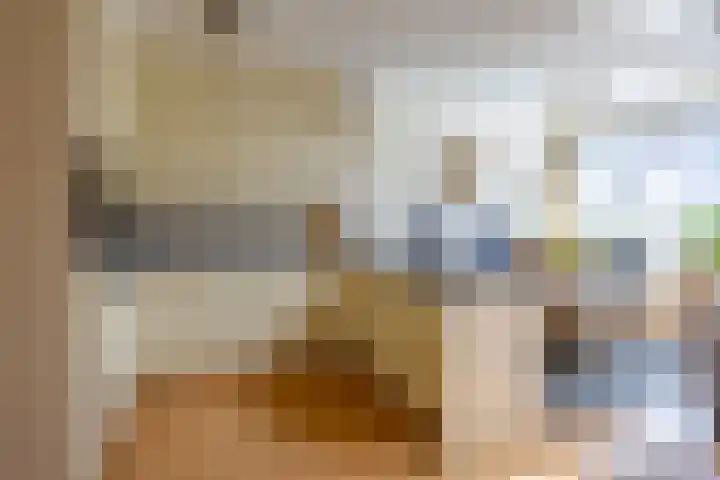Aronskelk 72 Venray thumbnail 15