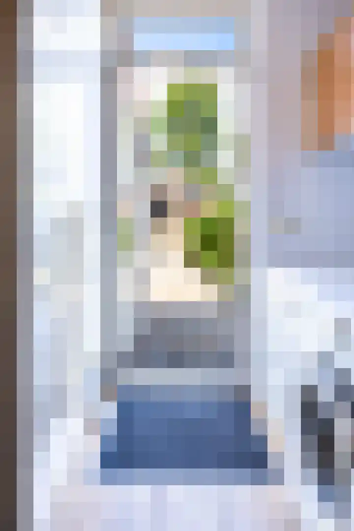 Aronskelk 72 Venray thumbnail 20