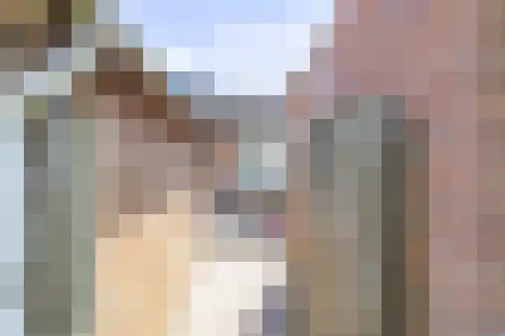 Aronskelk 72 Venray thumbnail 32