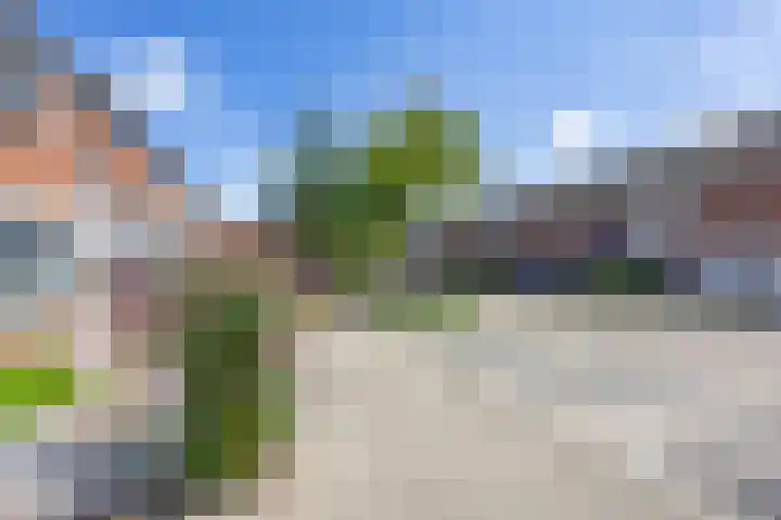 Aronskelk 72 Venray thumbnail 34