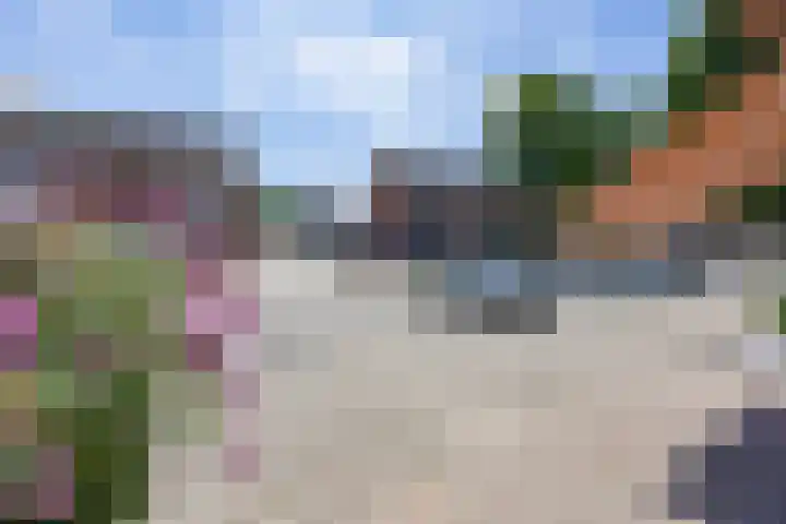 Aronskelk 72 Venray thumbnail 35