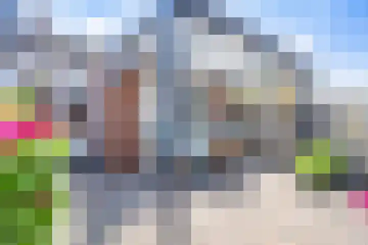 Aronskelk 72 Venray thumbnail 4