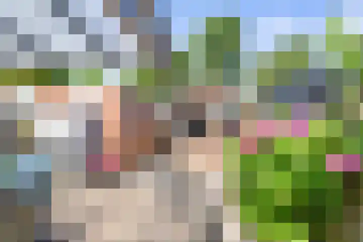 Aronskelk 72 Venray thumbnail 5