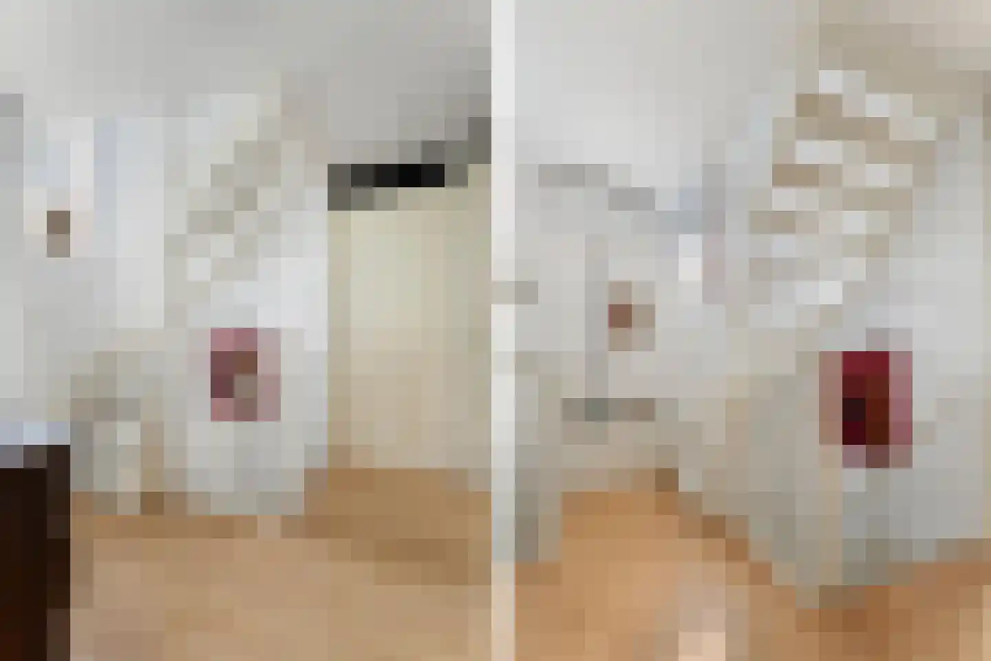 Aronskelk 77 Elsloo thumbnail 26