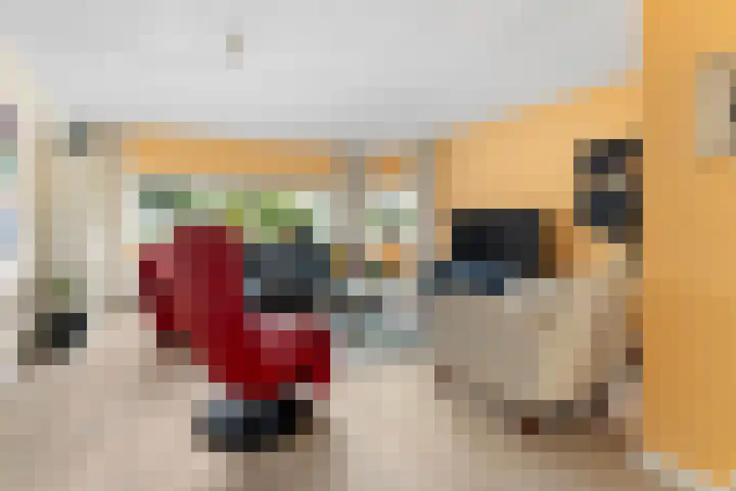 Aronskelk 77 Elsloo thumbnail 9