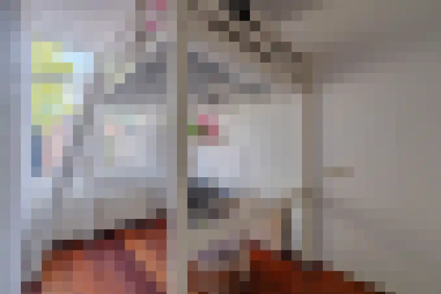 Aronskelk 78 Venray thumbnail 13