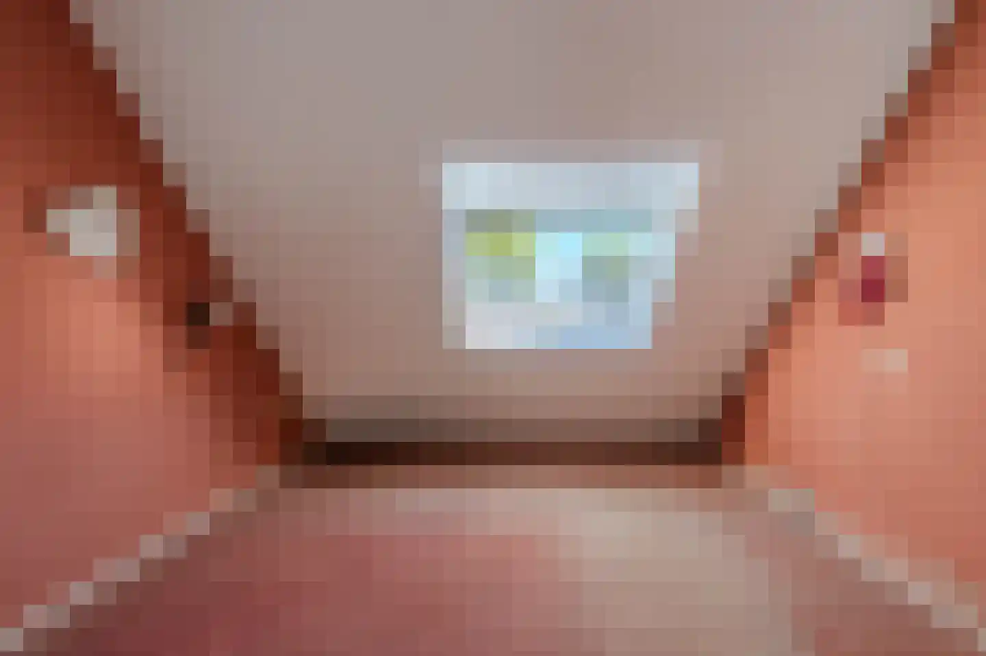 Aronskelk 78 Venray thumbnail 15