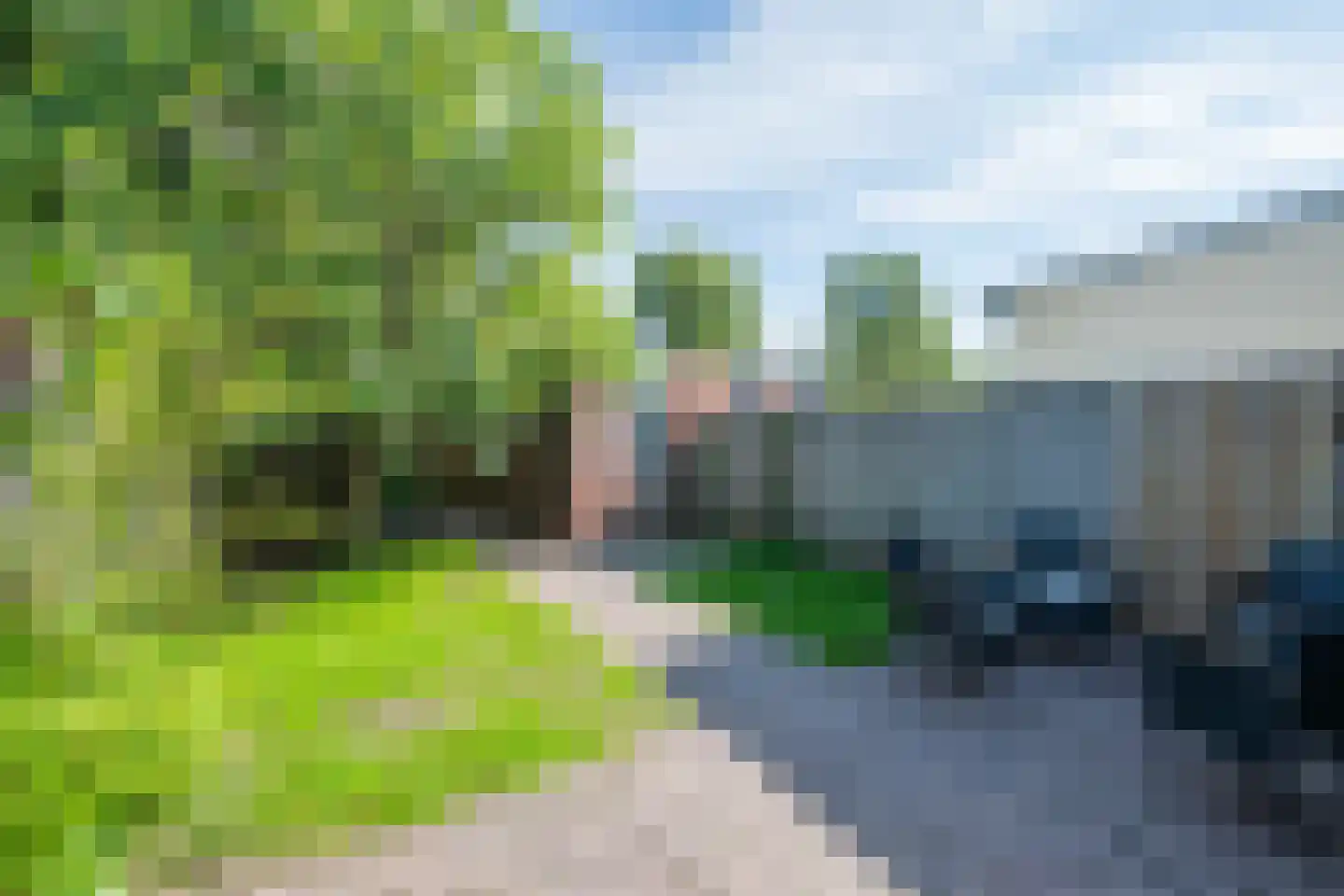Aronskelk 78 Venray thumbnail 18