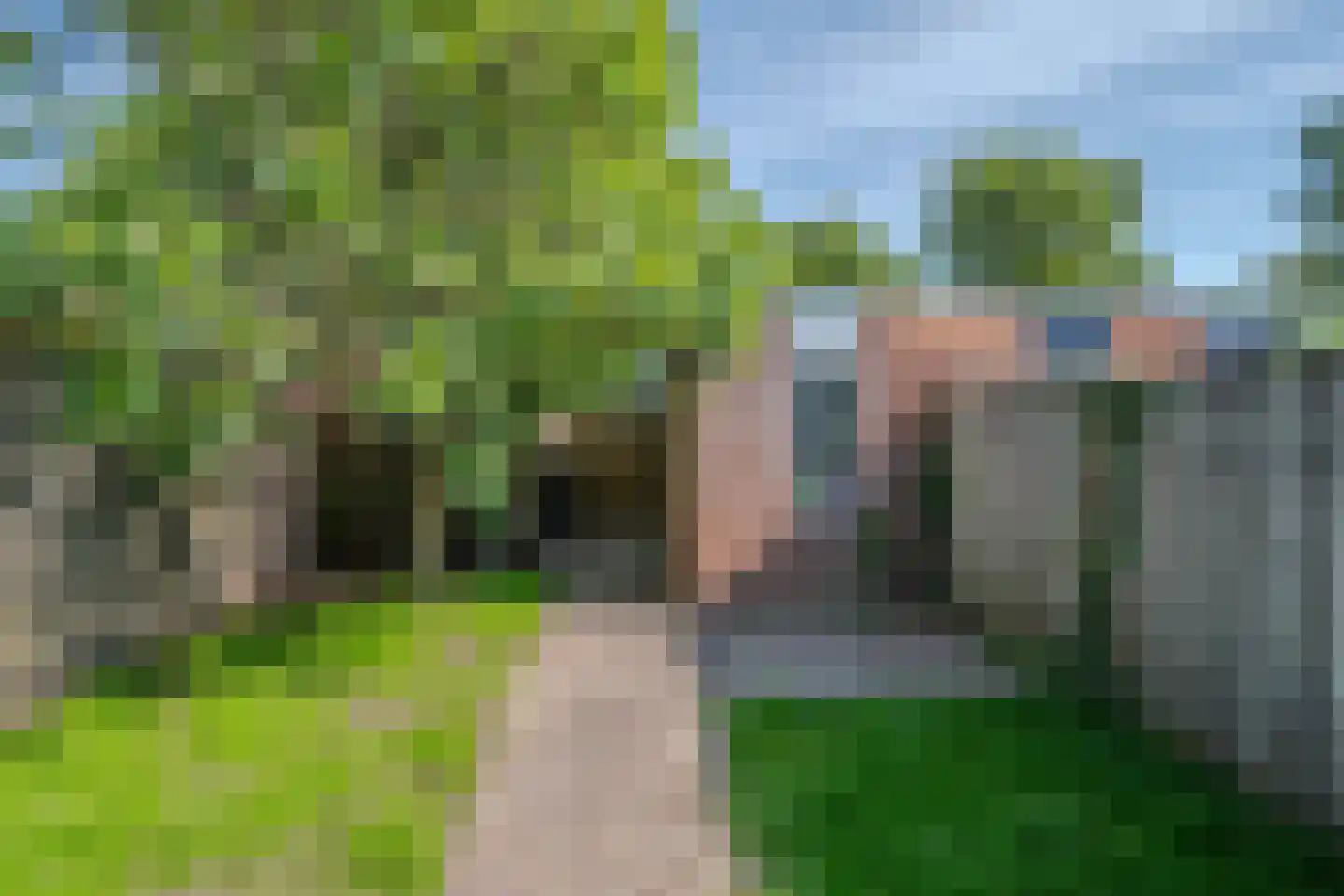 Aronskelk 78 Venray thumbnail 19