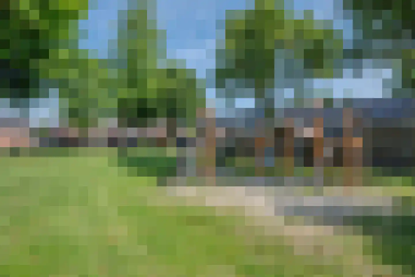Aronskelk 78 Venray thumbnail 24