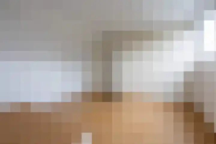 Aronskelk 82 Venray thumbnail 29