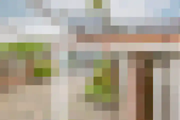 Aronskelk 82 Venray thumbnail 30