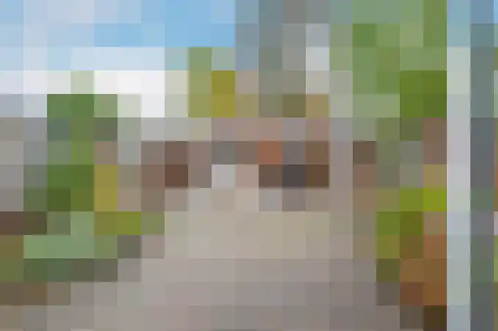 Aronskelk 82 Venray thumbnail 33