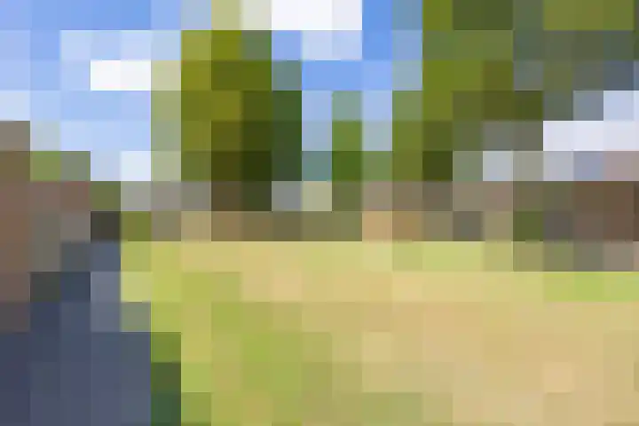 Aronskelk 82 Venray thumbnail 37