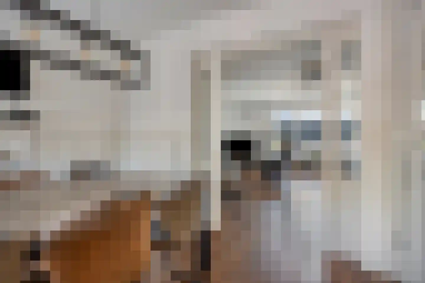 Aronskelkstraat 11 Denekamp thumbnail 12