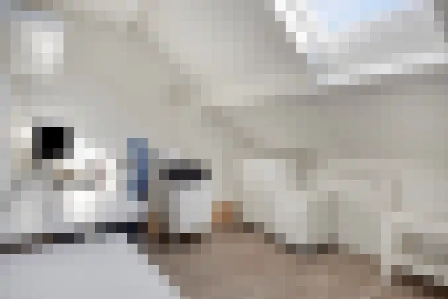 Aronskelkstraat 11 Denekamp thumbnail 31