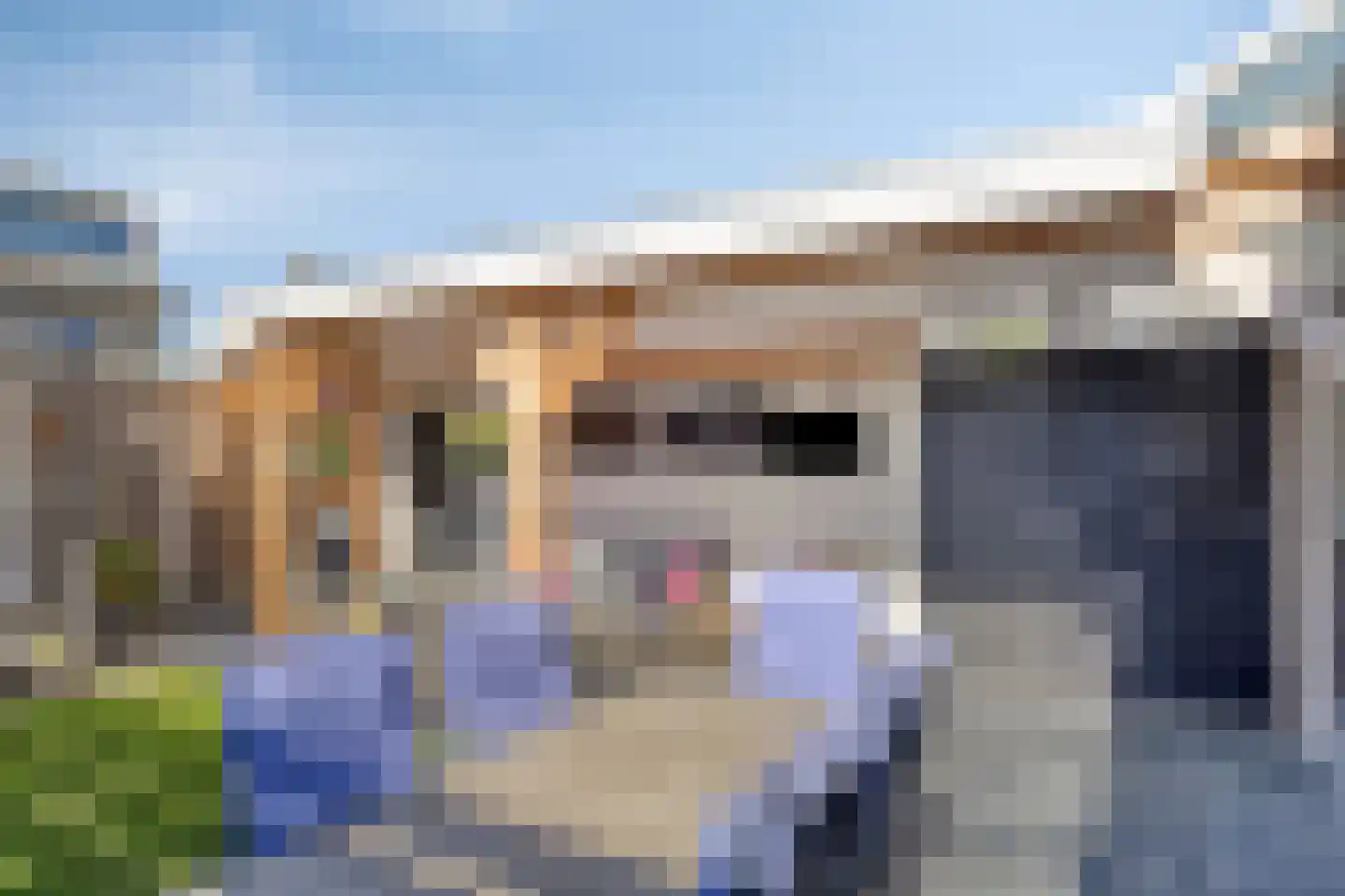 Aronskelkstraat 11 Denekamp thumbnail 4
