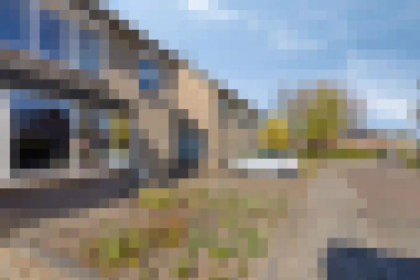 Aronskelkstraat 11 Denekamp thumbnail 40