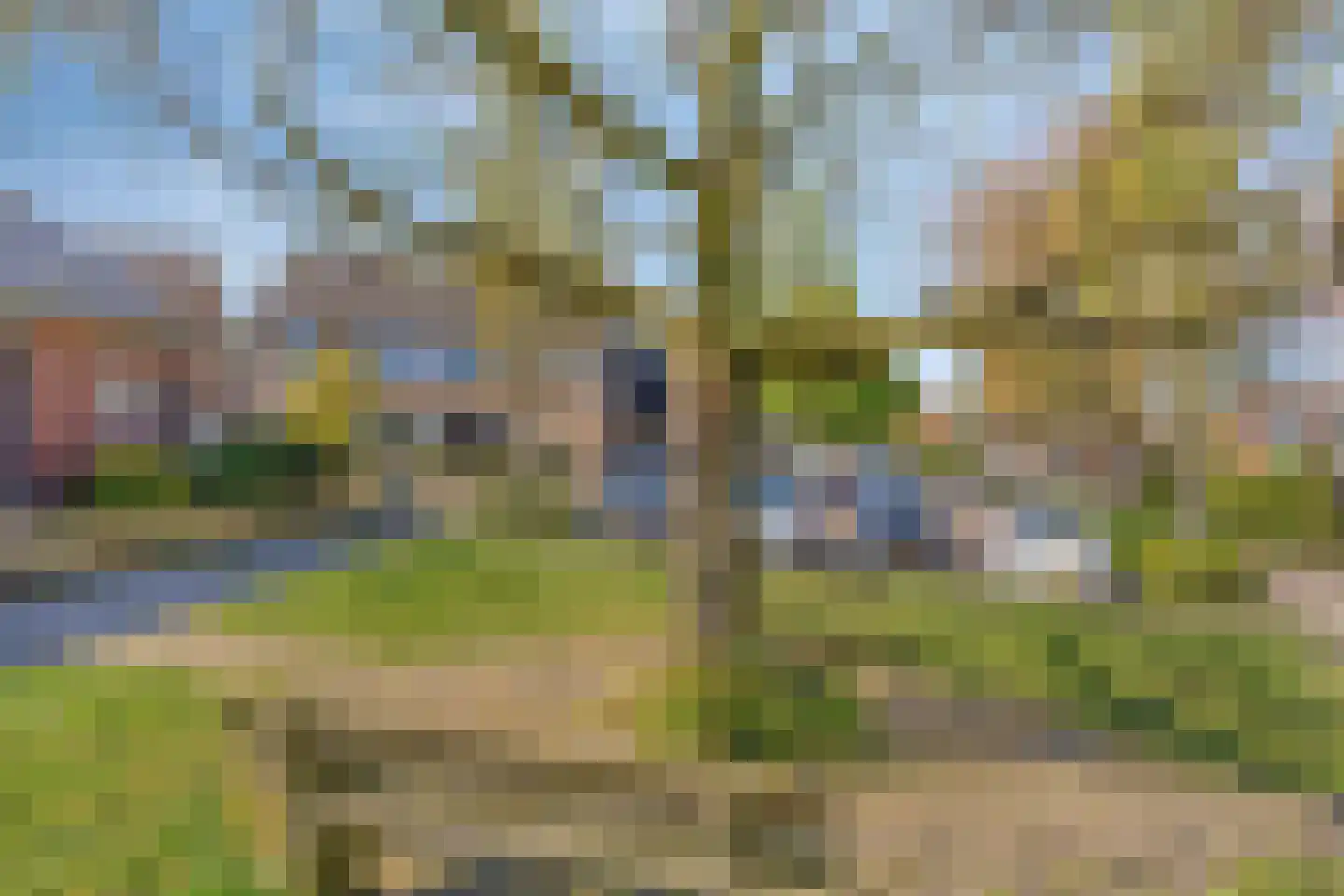 Aronskelkstraat 11 Denekamp thumbnail 41