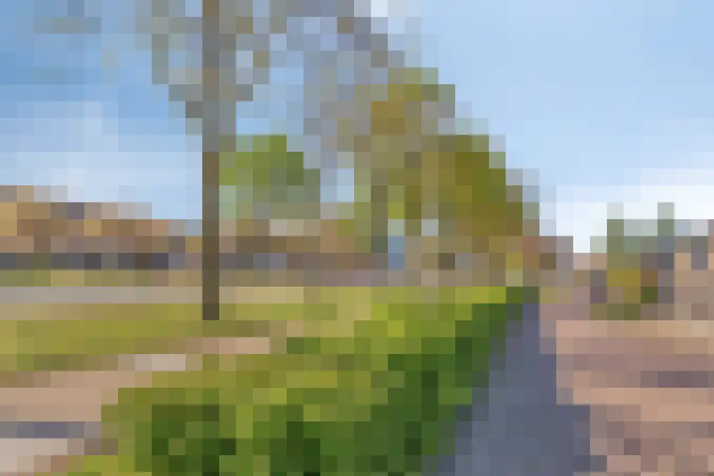 Aronskelkstraat 11 Denekamp thumbnail 43