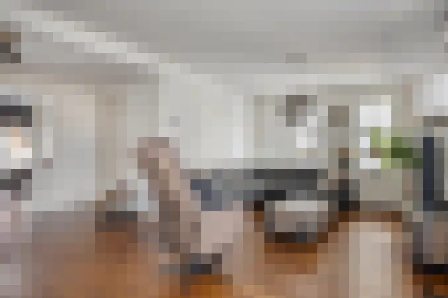 Aronskelkstraat 11 Denekamp thumbnail 5