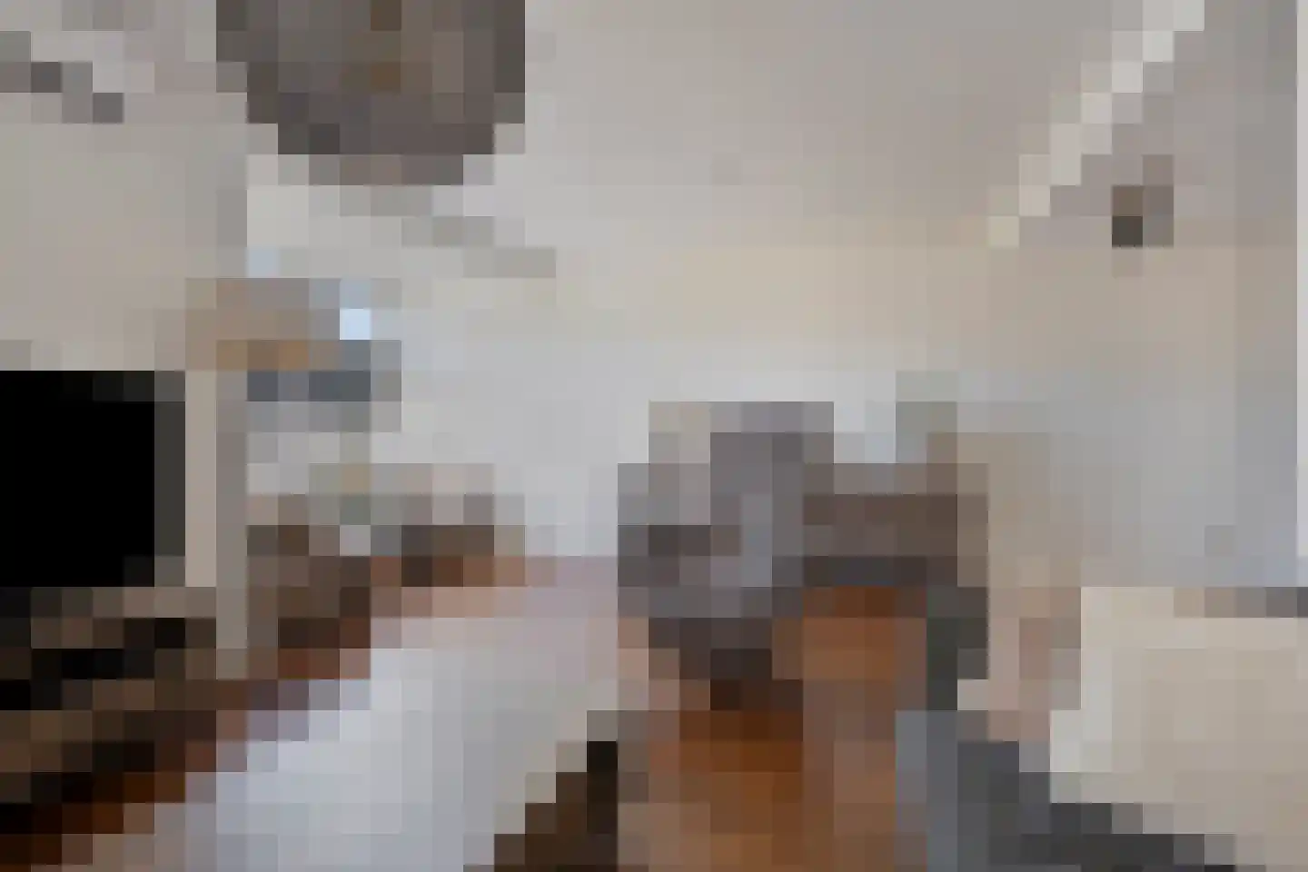 Aronskelkstraat 11 Denekamp thumbnail 7