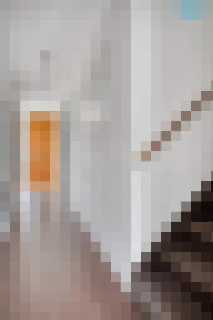 Aronskelkstraat 95 Rotterdam thumbnail 15