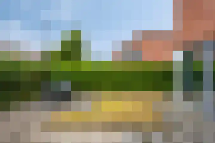 Aronskelkstraat 95 Rotterdam thumbnail 25