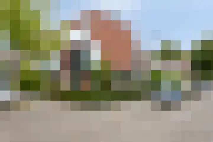 Aronskelkstraat 95 Rotterdam thumbnail 30