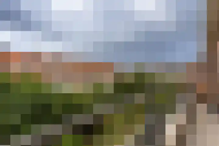 Aronskelkweg 118 Den Haag thumbnail 10