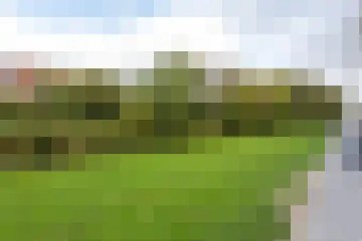 Aronskelkweg 118 Den Haag thumbnail 31