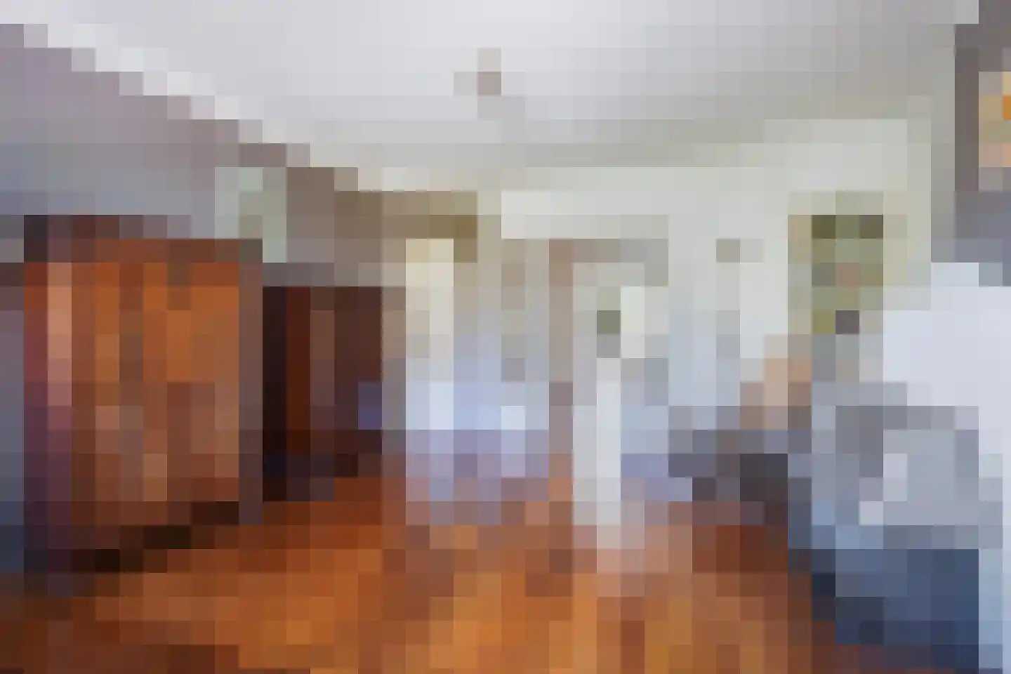 Aronskelkweg 18 Den Haag thumbnail 11