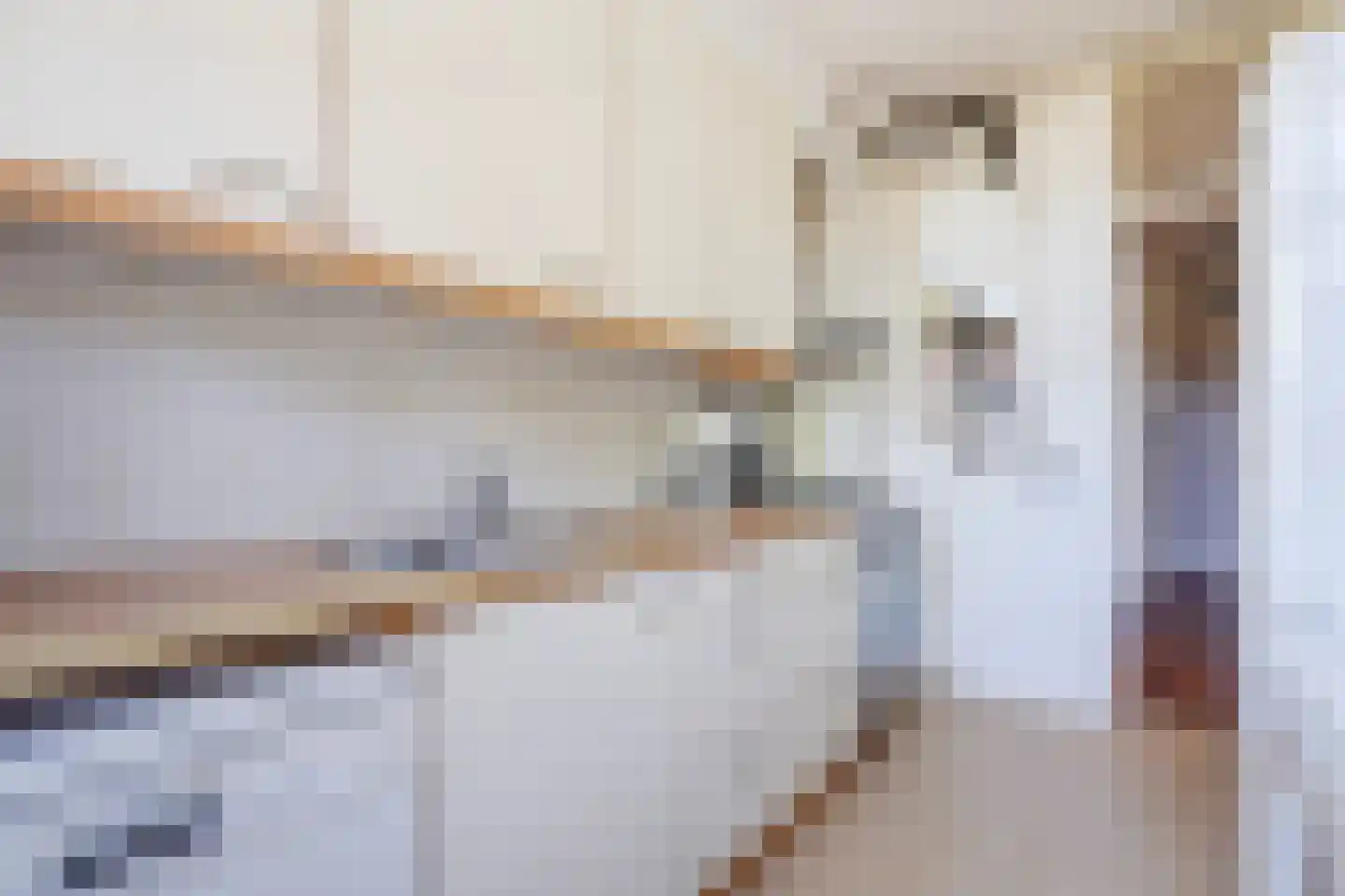 Aronskelkweg 18 Den Haag thumbnail 18
