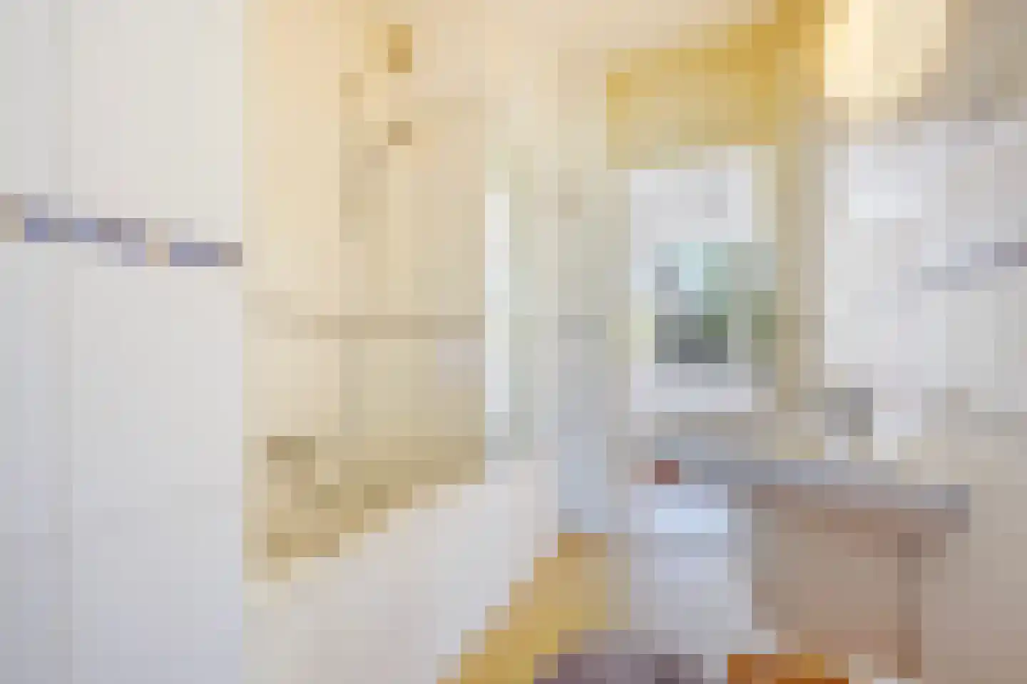Aronskelkweg 18 Den Haag thumbnail 21