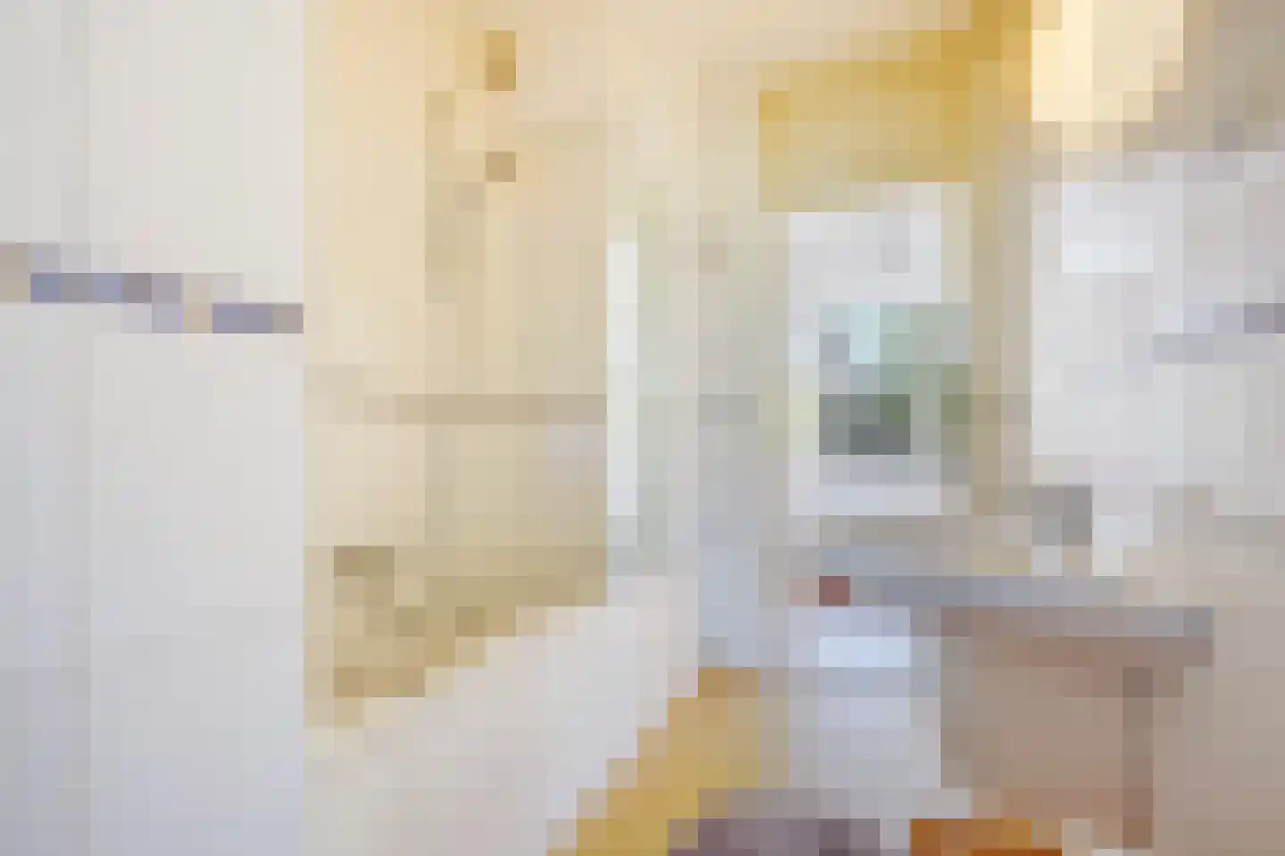 Aronskelkweg 18 Den Haag thumbnail 21