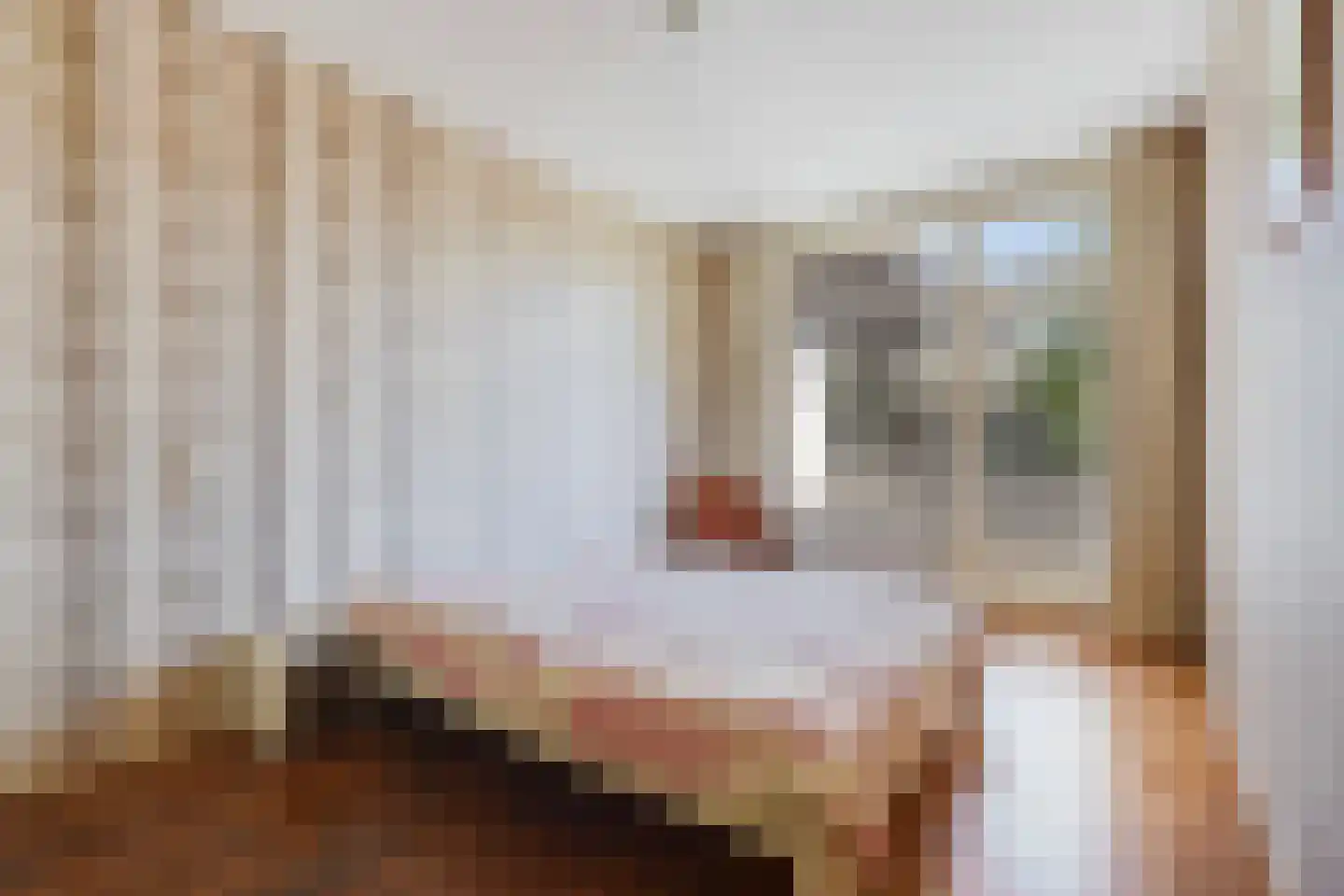 Aronskelkweg 18 Den Haag thumbnail 23