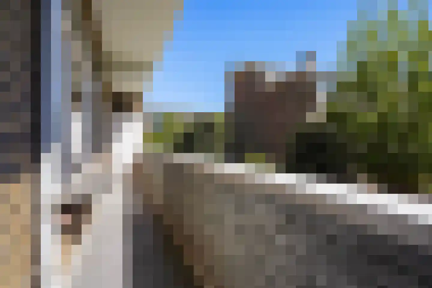 Aronskelkweg 18 Den Haag thumbnail 4